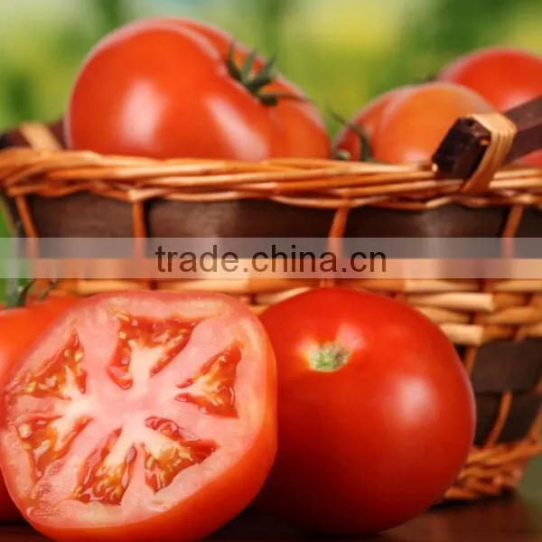 CE Best Selling Commercial Fruit and Vegetable Grinding Machine photo-3