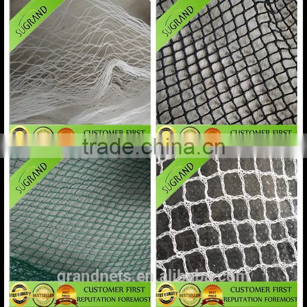 Anti Bird Netting for Yemen Market photo-3