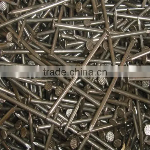 1/2"-13" High Quality Common Nails/ Stainless Steel Nail photo-2