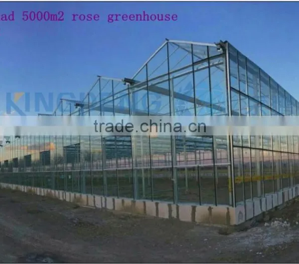 Commercial Rose Multi-span Glass Green House for Sale photo-2