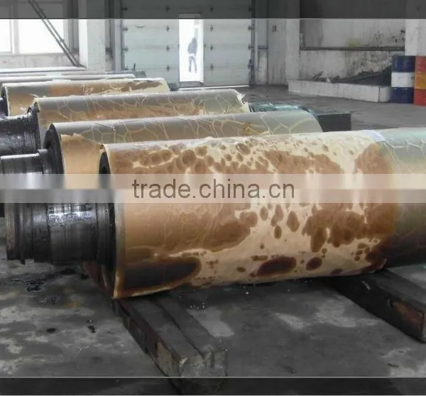 Supplying Abandant High Quality and Competitive Price Casting Roller Series photo-2