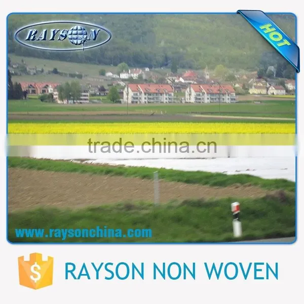Pp Non Woven Breathable Plant Protection Cover photo-3