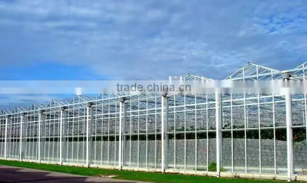 Glass Greenhouse-2 photo-3