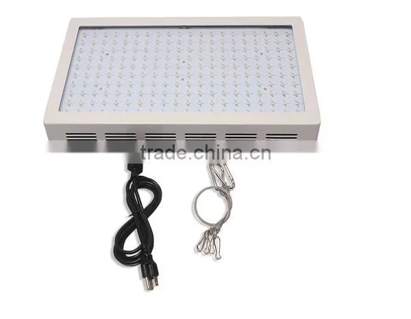 Shenzhen Manufacture Proved Top Led Grow Light 2016 photo-5