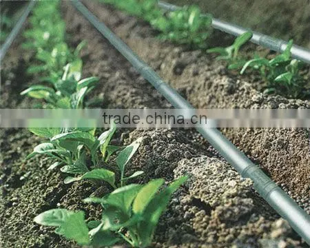 Trickle Irrigation photo-2