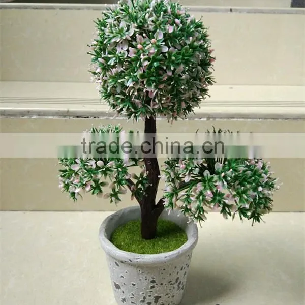 CHY060911 Guangzhou Shengjie High Quality Bonsai for Landscape photo-2