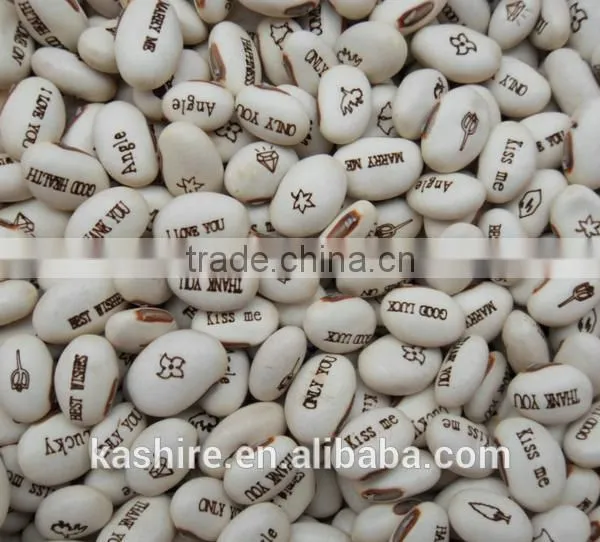 Love Magic Box,the Magic Beanstalk Seeds of Love photo-2