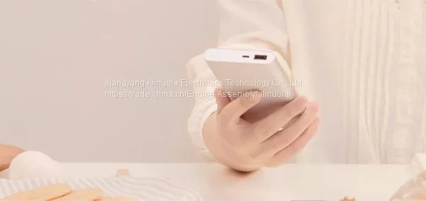 Xiaomi Power Bank 2 External Battery Portable Power Supply Black Sliver Quick Charge Support Android and IOS Mobile photo-4