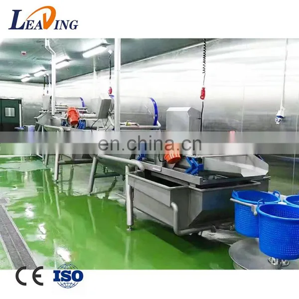 Hot Sale Cheap Reliable Industrial Vegetable Processing Line Machine Wholesaler photo-7