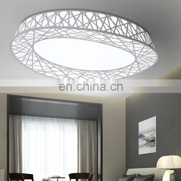 HOT Nest Shape LED Ceiling Lamp, Ultra Stylish Modern Minimalist Living Room Lamp photo-2