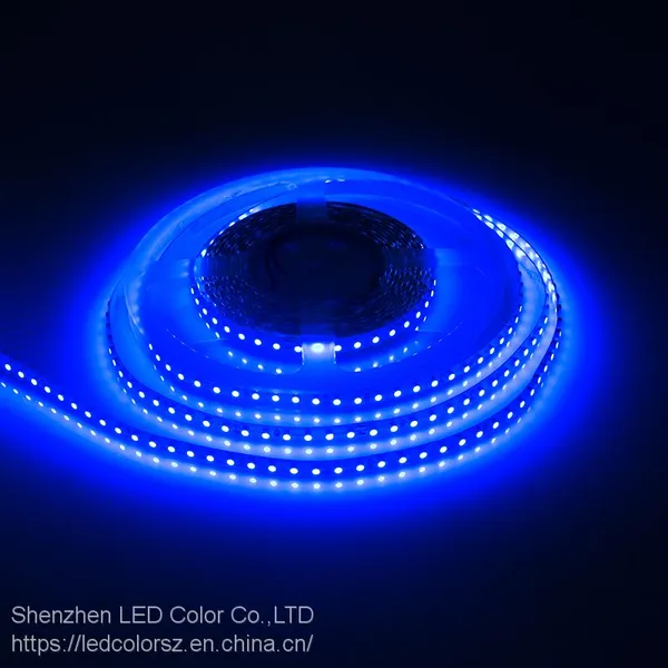 Blue Color Led Strip 120leds Dc24v Flexible Non Waterproof LED Strip photo-4