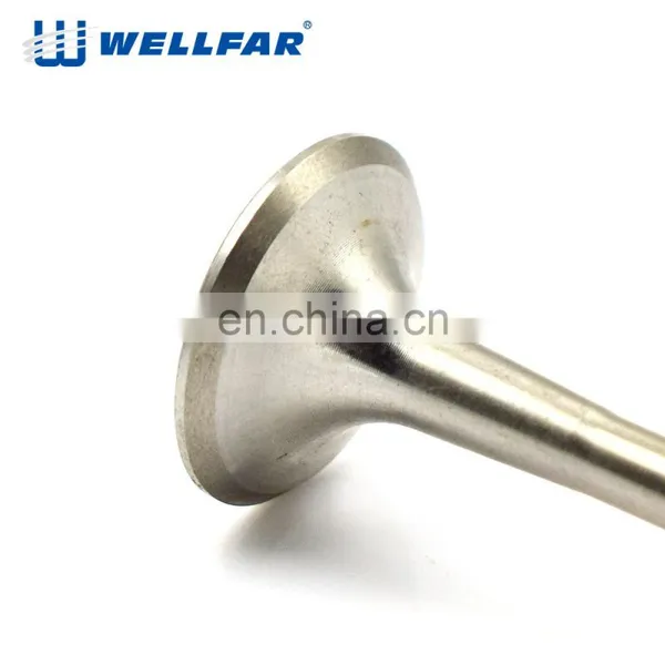 Wellfar High Quality Europea 21-4N Engine Parts Oe 06D 109 611H C7 Intake And Exhaust Engine Valves photo-2