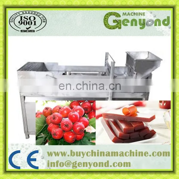 High Quality Fruit Leather Processing Machine photo-3