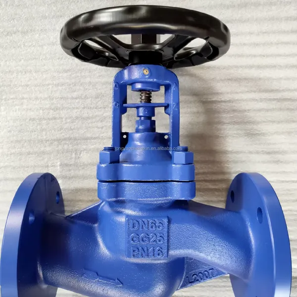 DIN PN16 PN25 Cast Ductile Iron Flange Bellows Seal Globe Valve WCB Stainless Steel Steam Bellows Globe Valve photo-2