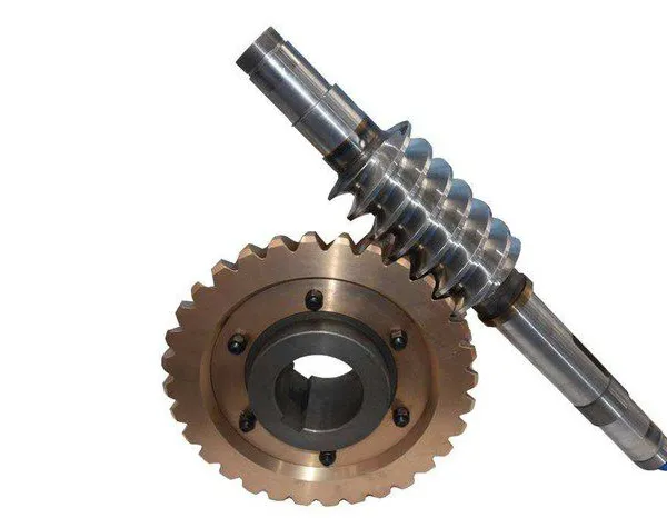 Worm Shaft