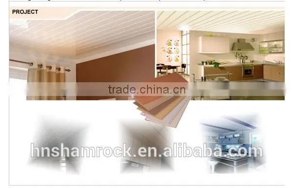 Decorative Material PVC Panels for Indoor Decoration photo-2