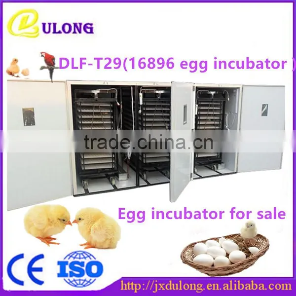 Top Selling 16896 Eggs Energy Saving Commercial Chicken Incubator for Sale