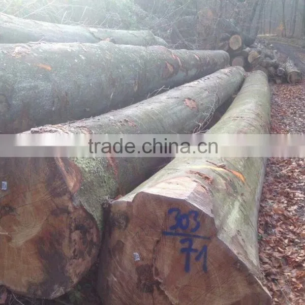 Germany Beechwood Peeling Logs FSC WOOD