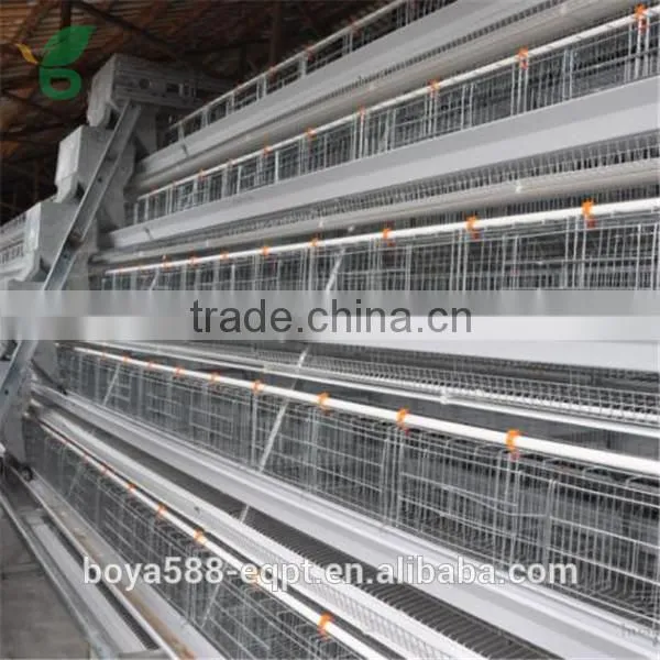 2016 New Design Cold/hot Galvanized Pullet Chicken Cage photo-4