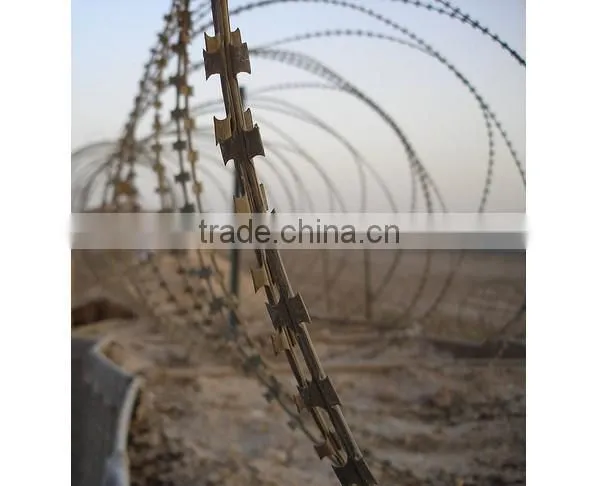 Professional Maker Barbed Wire/barbed Wire Price per Roll/razor Barbed Wire