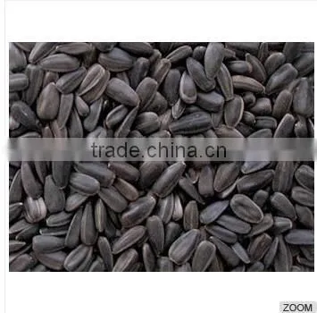 High Quality Black Sunflower Seeds for Oil Production, SUNFLOWER SEEDS