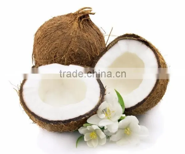 Fresh Coconuts - Export Quality Coconut photo-6