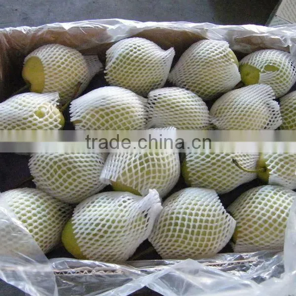 Fresh Shandong Pear 60-70-80 in 15kg Carton photo-5