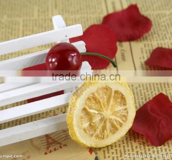 High Quality Food Vacuum Freeze Dryer Equipment photo-3