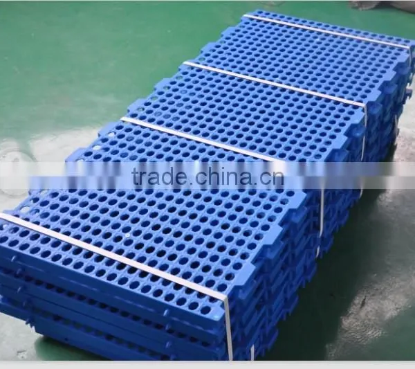High Quality Slat Floor for Poultry Farm photo-3