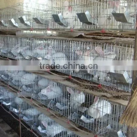 Top Promotion Double Rabbit Hutch For Sale photo-3