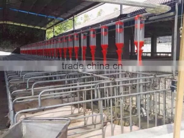2016 Sow Pig Sty Pig Farming Equipment photo-3