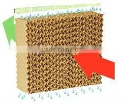 Lowest Price Air Cooler for Factory With Good Efficiency in China photo-3