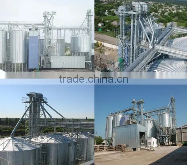 Chinese Hot Sale Chain Bucket Elevator, Mining Bucket Elevator photo-6