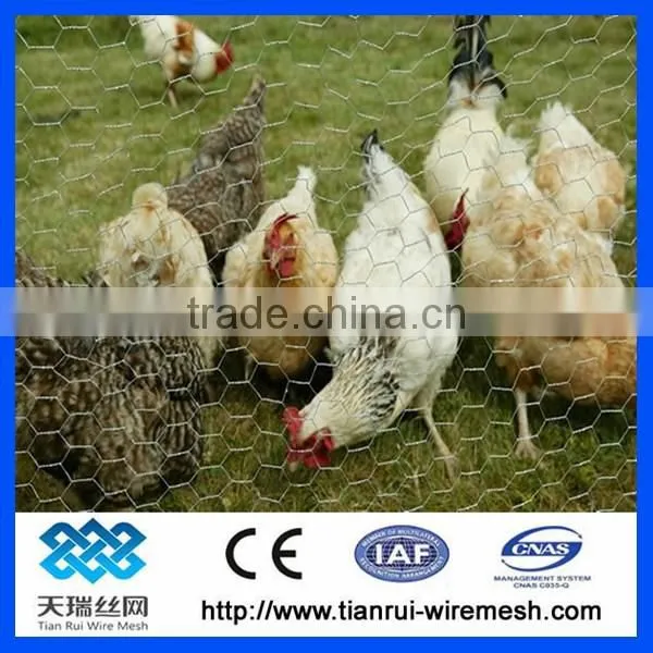 Pvc Coated/galvanized Hexagonal Wire Mesh photo-2