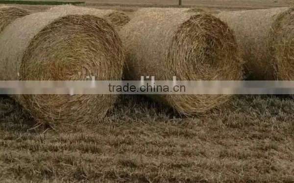 Best Price Tractor PTO Use Hay Round Baler Straw Baler Machine Grass Round Baler photo-2