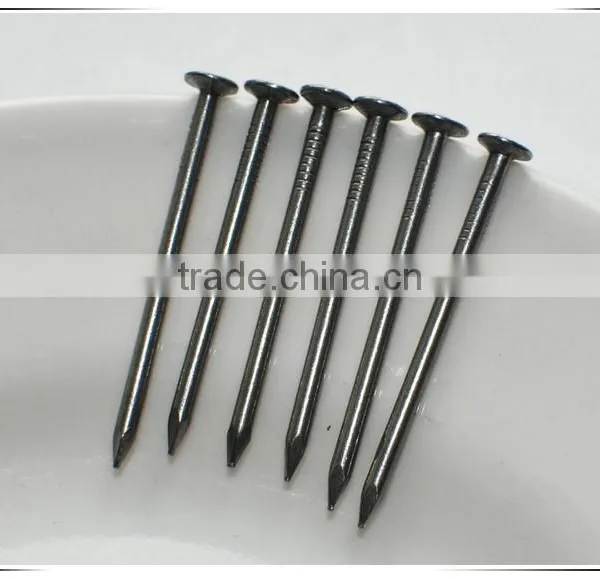 3" Common Nail Beauty Product Iron Nails From China Factory photo-2