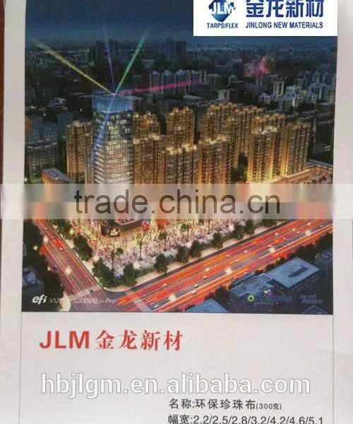 380gsm High End Backlit Pvc Flex Banner Sizes, Digital Printing Material photo-3