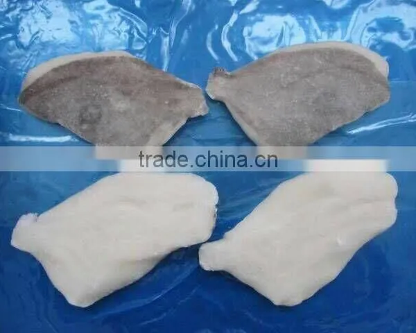 Frozen Moonfish Fillets photo-2