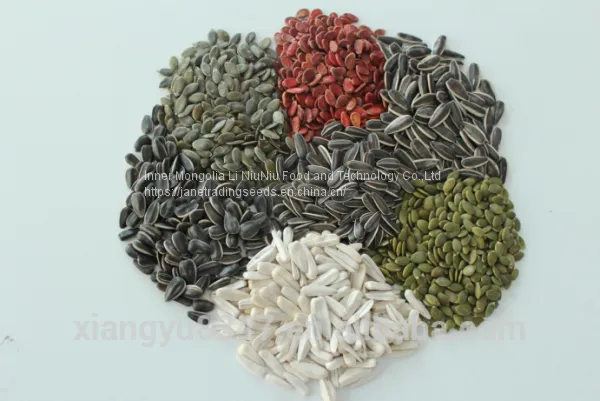Sunflower Seeds photo-2