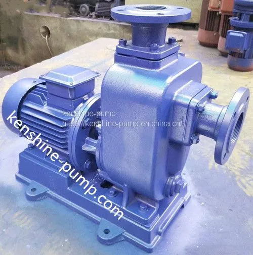 PW Open Impeller Sewage Centrifugal Horizontal Pump photo-2
