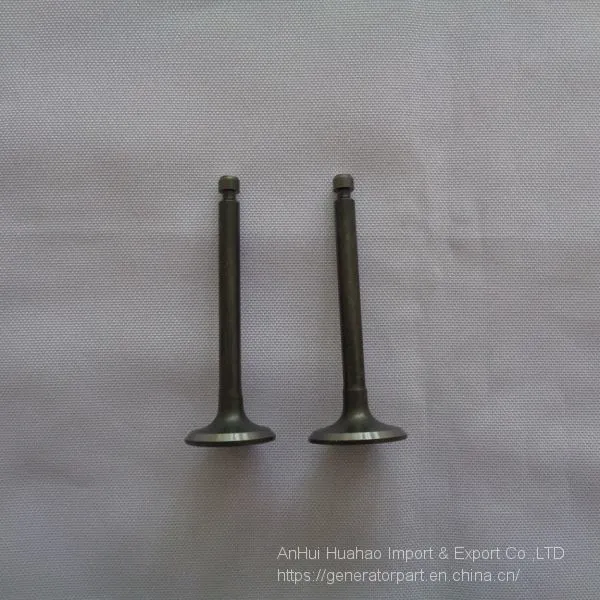 EF2600 Generator Intake and Exhaust Valve photo-2