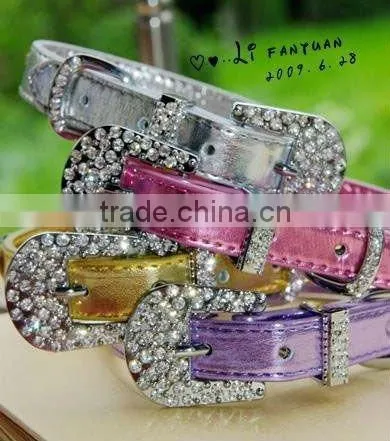 Dog Collars and Leashes