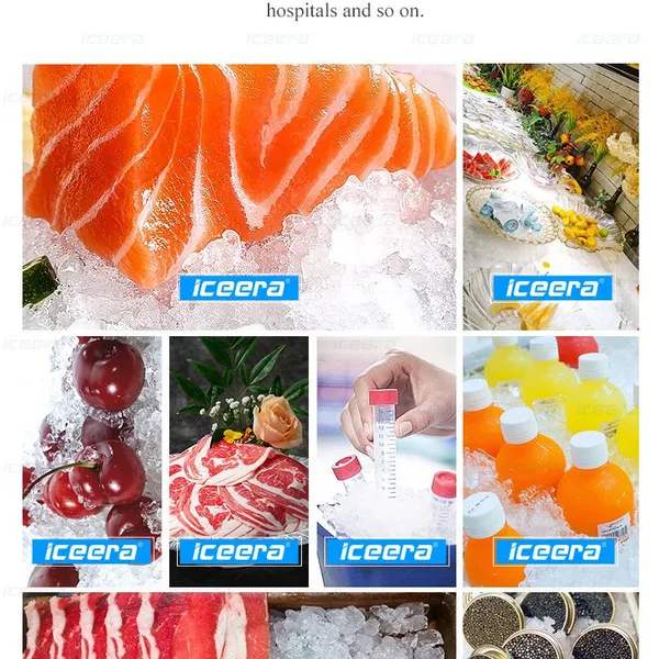 Commercial Snow Flake Ice Maker 300kg/Day | Fine Ice & Low Noise | ISO/CE Approved photo-5