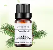 Factory Genyond Pine Needles Essential Oil Distiller Distillation Equipment Extractor Extracting Machine photo-6