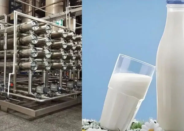 Système de stérilisation et de concentration de lait de chèvre
