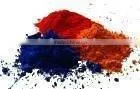 Cationic Dyes Cationic Black X-RL 100% Cationic Black Dye