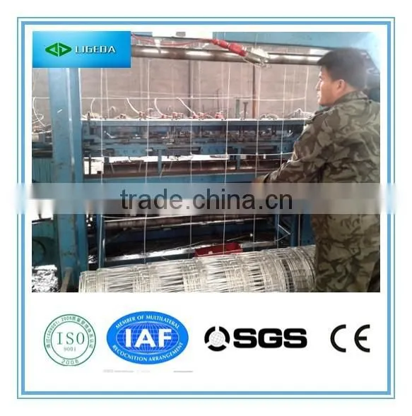 Hinged Joint Cattle Fencing photo-3