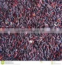 Black Rice