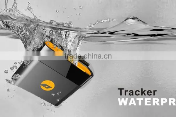 Online Real Time Gps Tracker Software /micro Gps Transmitter Made in Taiwan With Free Web photo-4