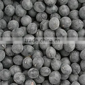 Black Bean photo-4